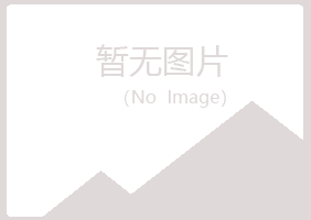 新和县女孩邮政有限公司